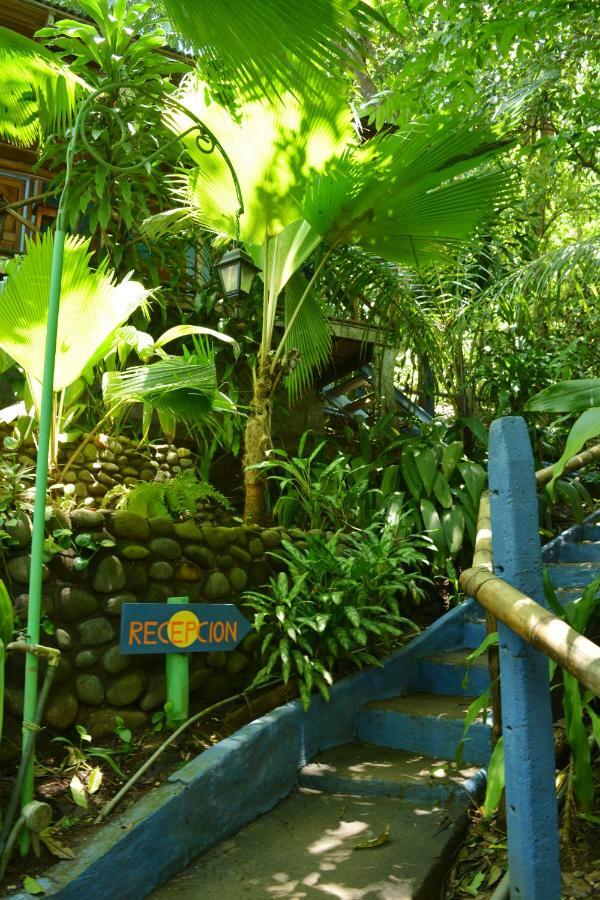 Hotel Luna Llena Nicoya Exterior foto